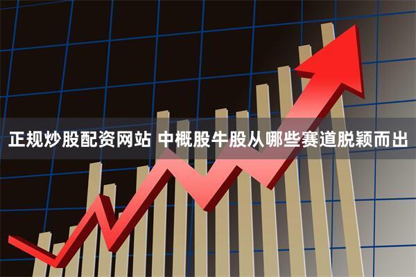 正规炒股配资网站 中概股牛股从哪些赛道脱颖而出